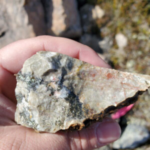 Epworth 2023, dolomite with galena