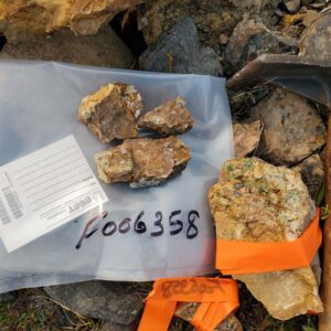 Epworth 2023, dolomite with rust patches, possible sphalerite