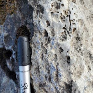 Epworth 2023, galena blebs in dolomite