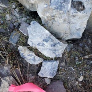 Epworth 2023, galena stringers in dolomite