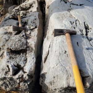 Epworth 2023, white dolomite algal mats blebs of galena in left slab